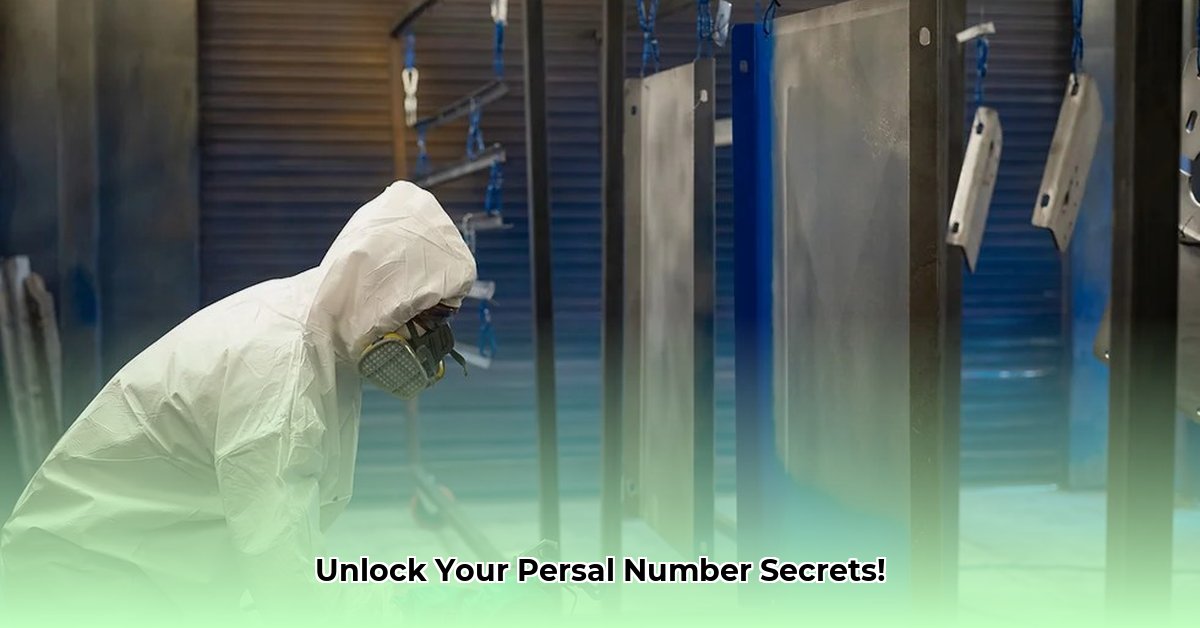 what-is-persal-number